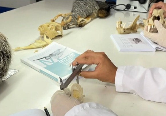 Captura de pantalla 2026 04 08 150848