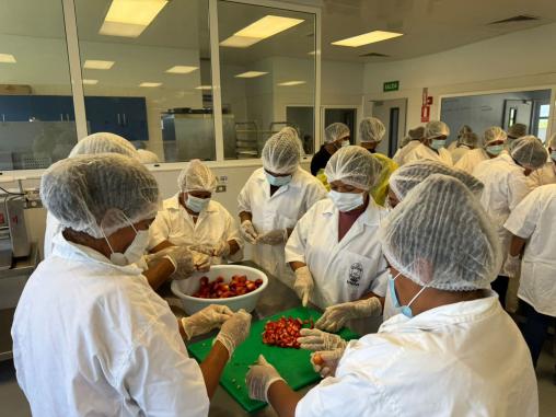 WhatsApp Image 2025 08 14 at 07.56.09 5