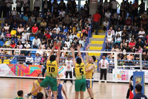 WhatsApp Image 2025 07 28 at 19.33.12