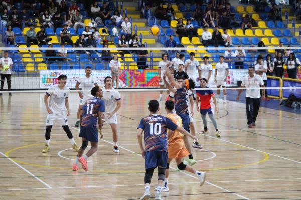 WhatsApp Image 2025 07 28 at 19.33.13