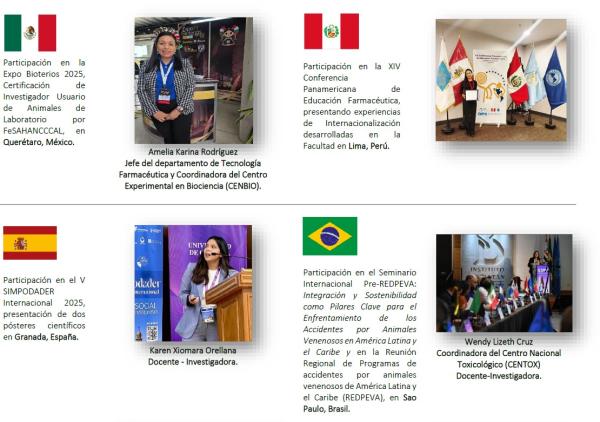 Captura de pantalla 2025 11 24 151349