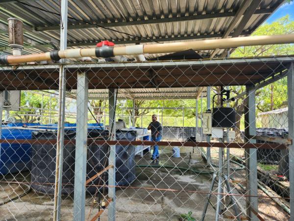 73d5fdf0 570d 4c94 95c9 910efa8cad03