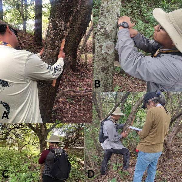 WhatsApp Image 2025 06 13 at 11.36.30