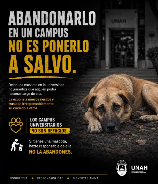 Campana abandono animal 2