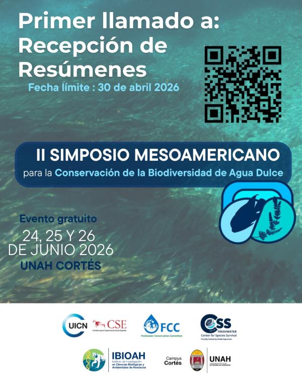 667572438 1270606765212532 529300894518046179 n