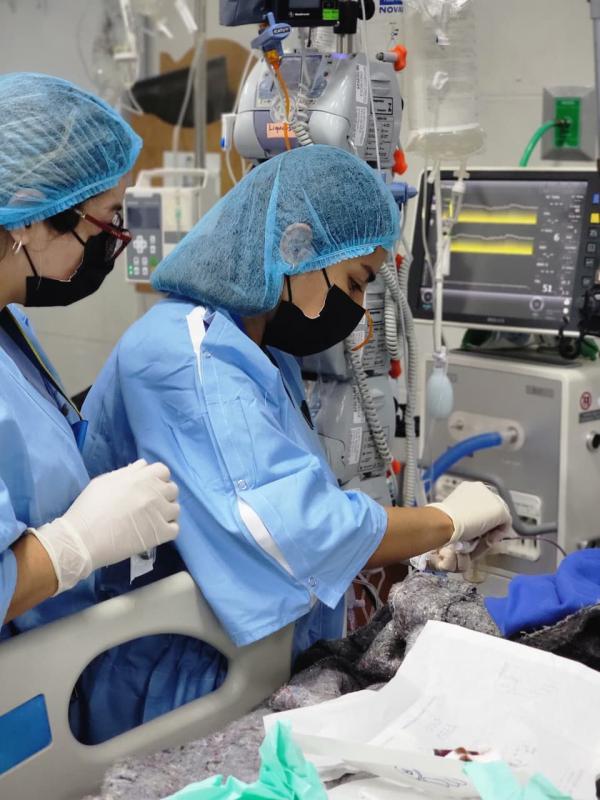 WhatsApp Image 2025 11 11 at 12.21.20 2