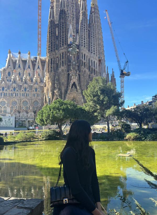 WhatsApp Image 2026 03 17 at 13.36.33 3