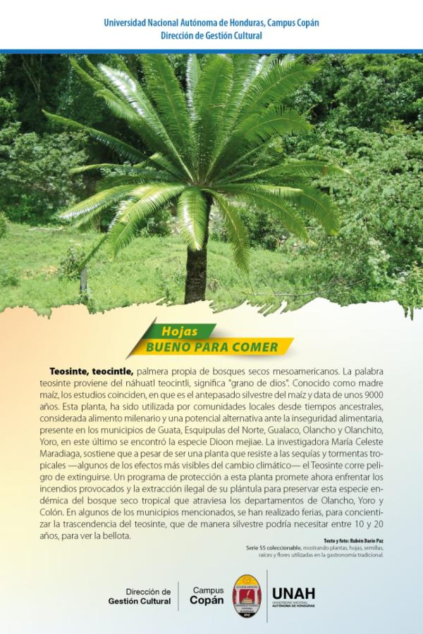 Planta 3