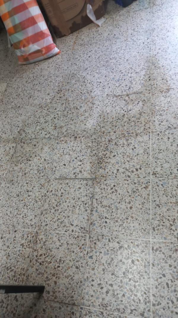 WhatsApp Image 2024 11 18 at 15.11.46