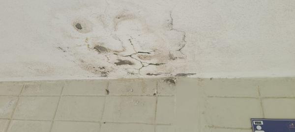 WhatsApp Image 2024 11 18 at 15.11.45