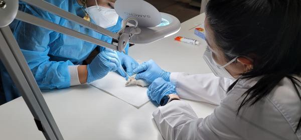 0ca8ef79 041e 450d 9f97 72c3a9119c86