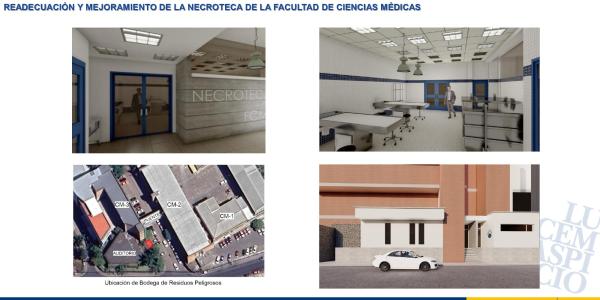 necrotecv