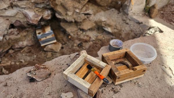 WhatsApp Image 2025 12 11 at 2.59.43 PM