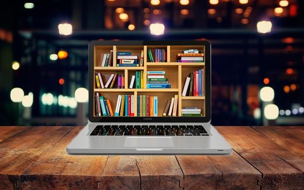 WhatsApp Image 2024 11 19 at 15.53.17