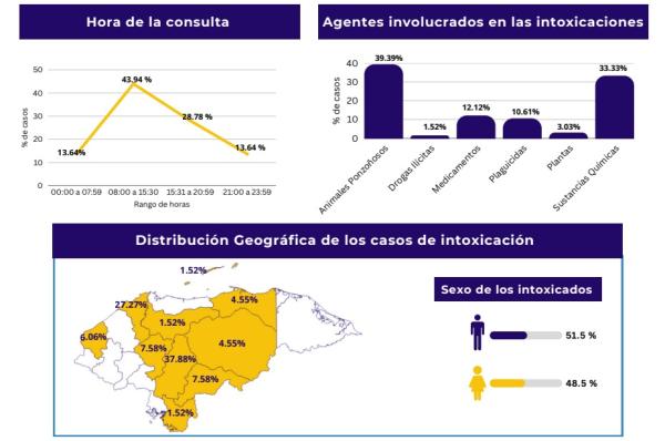 WhatsApp Image 2026 03 20 at 12.34.10