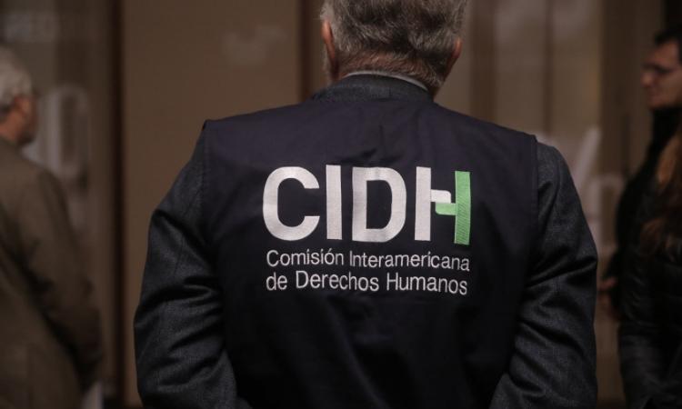 CIDH anuncia programa de pasantías virtuales para estudiantes y egresados