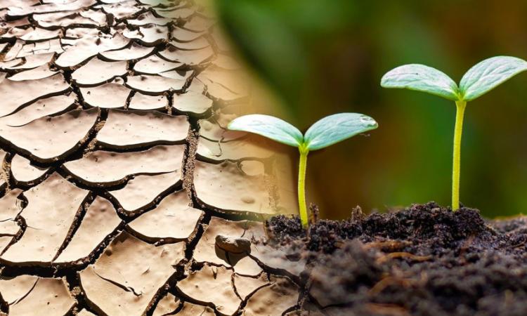 CUROC ofertará Maestría en Agricultura Sostenible y Cambio Climático