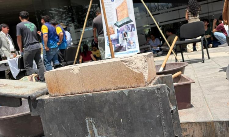 WhatsApp Image 2026 04 17 at 12.59.38 3