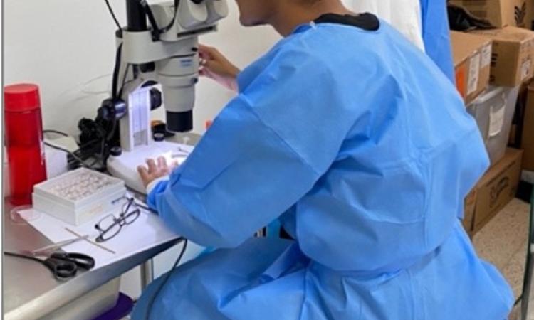 ¿Recuerdan la capacitación realizada en el mes de julio sobre insectos de interés forestal?