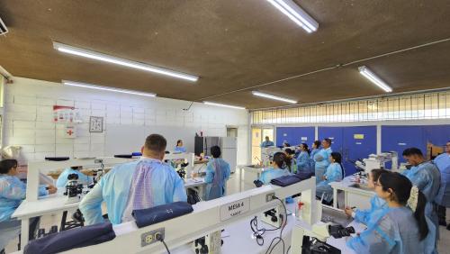 496963748 1191530336101041 5233443507080162446 n