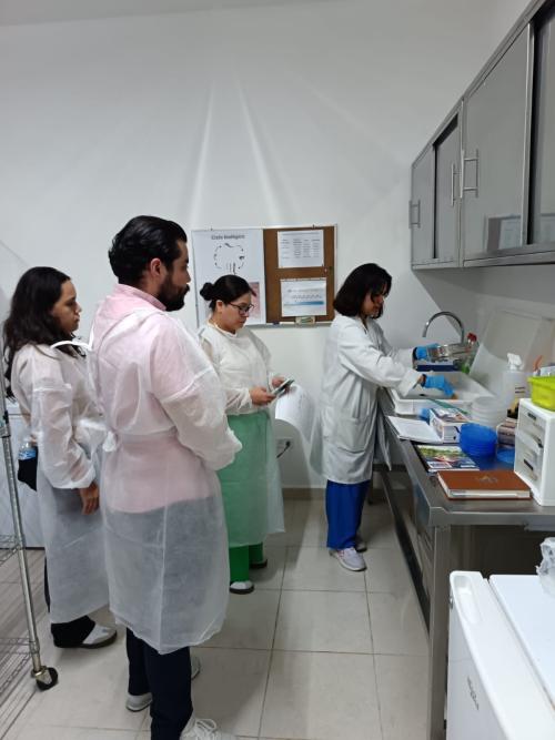 501598358 1226768076127069 8028714700950281853 n