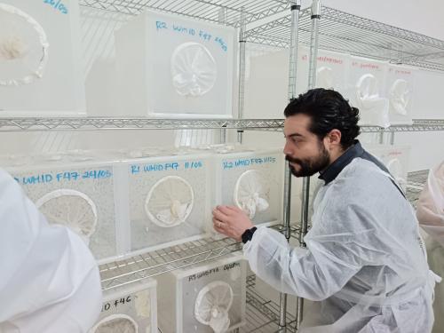 501598358 1226768192793724 2199174994729696449 n