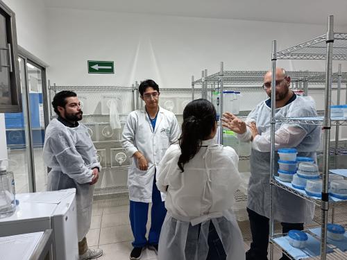 502492187 1226767512793792 3912574824909282356 n