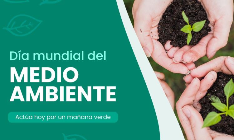 ¡Hoy celebramos el Día Mundial del Medio Ambiente! 