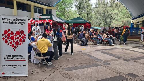 505857909 1275912931206980 6299842976687057108 n