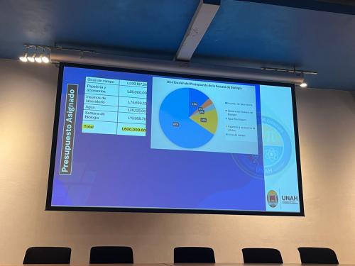 508657018 1296296669167716 6747891165340876904 n