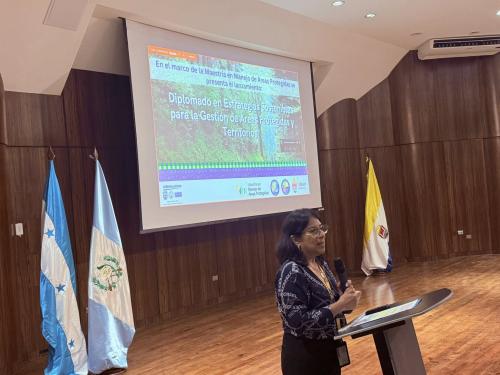 514497555 1306020688195314 2787306832971058907 n