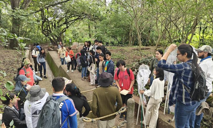 ¡Así vivimos la Escuela de Verano UNAH 2025!