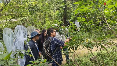 515286386 1338247124969330 7976947509511829044 n