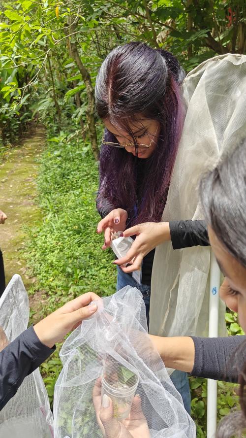 515441017 1338247108302665 6409027990605741046 n