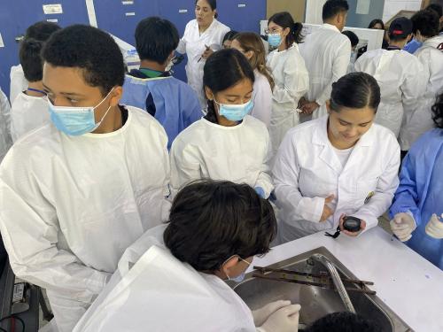 515508425 1230559632198111 4316056437794271047 n