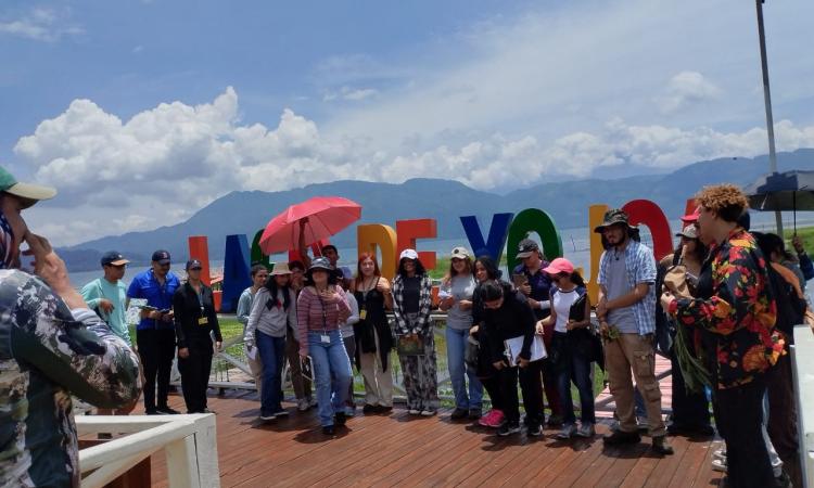 Gira de Campo | Clase de Botánica Sistemática