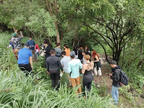 517155718 1311290194335030 1315444228406881778 n