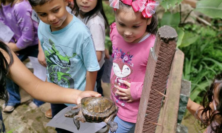 Visita Educativa al Mariposario: Niños de la Estancia Pumas del Futuro Aprenden sobre Biodiversidad