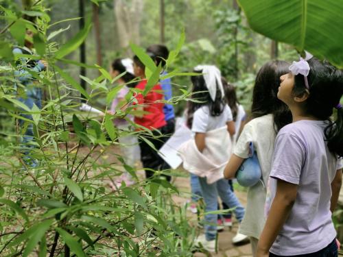 516617508 1168764405281547 5550507848482629365 n