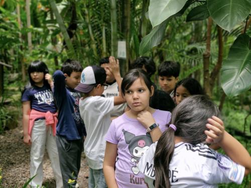 517770164 1168764935281494 5168965623607335812 n