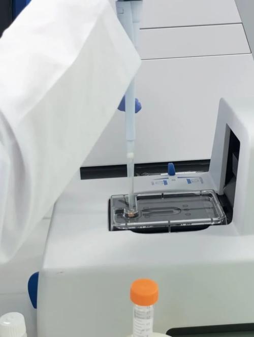 518947249 1318057626991620 9107424803234398780 n