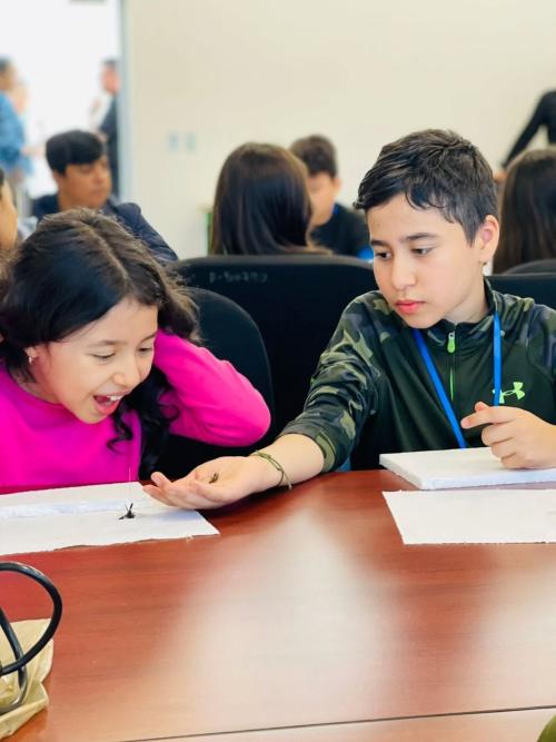 520256583 18418668199097590 4062159171516650015 n