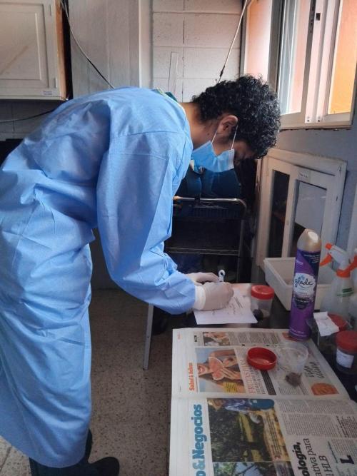 520437234 1240640907856650 380703817835329380 n