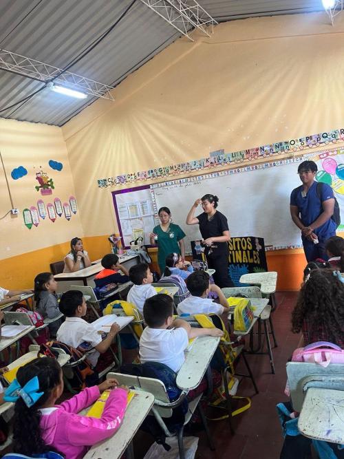 520681564 1240641044523303 1385304244659257416 n