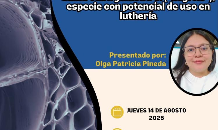 ¡Te invitamos a la defensa de tesis de la Maestría en Botánica!
