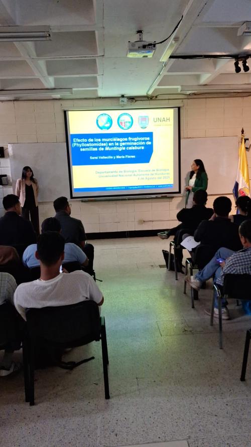 528067501 1367523972041645 6626156900442384601 n