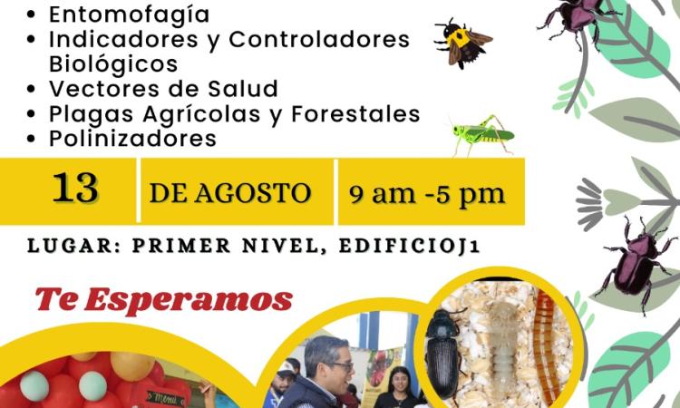  Feria de Entomología 2025