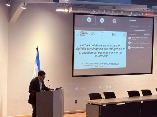 530674246 1343962987734417 3171945825530225988 n