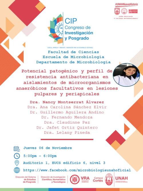 577786802 1423119146485467 7987195924502159798 n