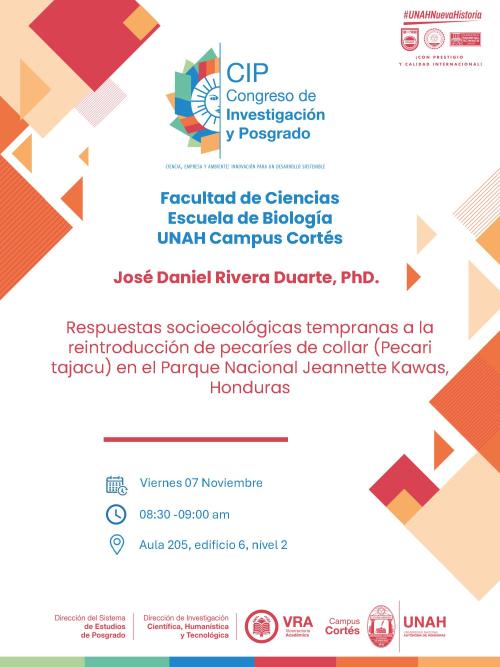 577799725 1423118819818833 7825149670064943899 n